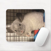 Locken "Curly" Chinchilla Mousepad (Mit Mouse)