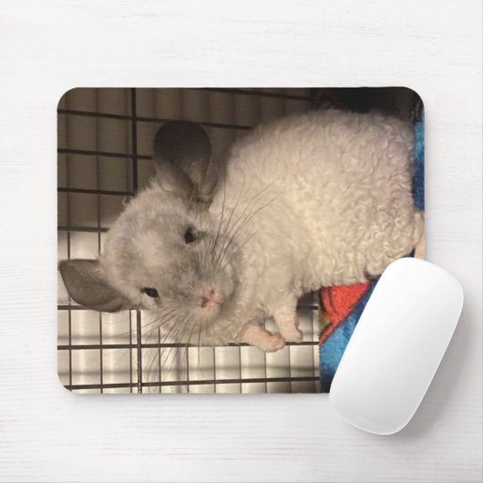 Locken "Curly" Chinchilla Mousepad (Mit Mouse)