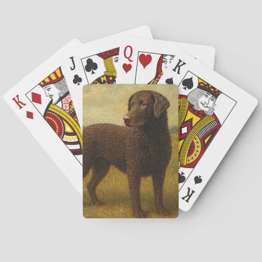 Lockenförmiger Küsten-Retriever Spielkarten (Rückseite)