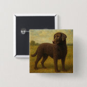 Lockenhaar-Retriever Button (Vorne & Hinten)