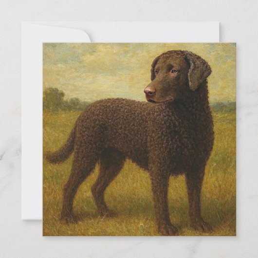 Lockenmantel-Retriever Dankeskarte (Vorderseite)