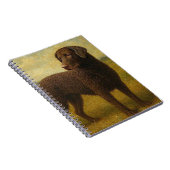 Lockenmantel-Retriever Notizblock (Rechte Seite)