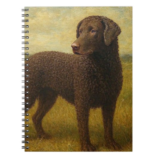 Lockenmantel-Retriever Notizblock (Vorderseite)
