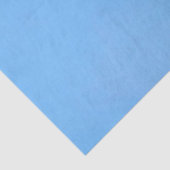 Lockheed Martin F-22A Raptor Seidenpapier (Detail)