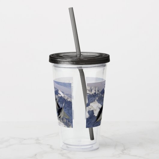 Lockheed SR-71B Blackbird Acryltrinkbecher (Links)