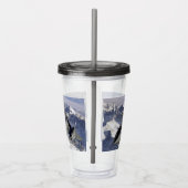 Lockheed SR-71B Blackbird Acryltrinkbecher (Rechts)