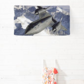 Lockheed SR-71B Blackbird Banner (InSitu)