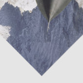 Lockheed SR-71B Blackbird Seidenpapier (Detail)
