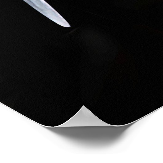 Lockheed Vega 5B, Amelia Earhart Poster (Ecke)