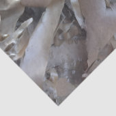 Lockige Birkenrindenbaum-Rustikalität Seidenpapier (Detail)
