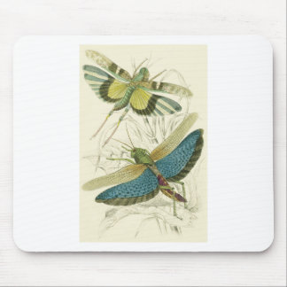 Locusta Cristata (niedriger), Locusta flava (ober) Mousepad