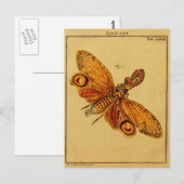 Locusta Postkarte (Vorne/Hinten)