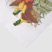 Loddigesia Mirabilis Decoupage Seidenpapier (Ausschnitt)