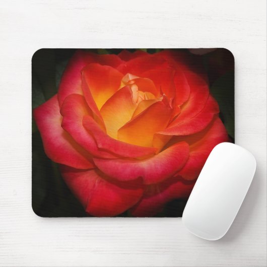 Loderndes Rose mousepad (Mit Mouse)