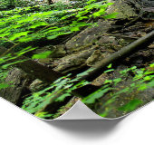 Lodge Falls, Alabama Poster (Ecke)