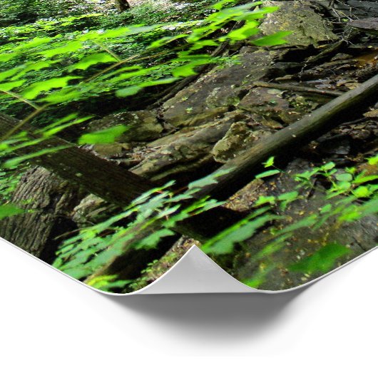 Lodge Falls, Alabama Poster (Ecke)