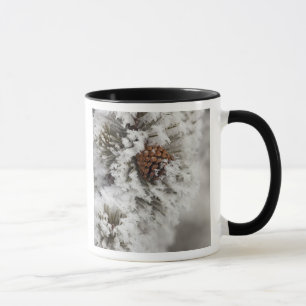 Lodgepole Kiefernkegel im Winter in Yellowstone Tasse