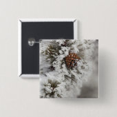 Lodgepole Pine Kegel im Winter in Yellowstone Button (Vorne & Hinten)