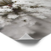 Lodgepole Pine Kegel im Winter in Yellowstone Poster (Ecke)