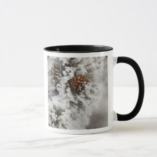 Lodgepole Pine Kegel im Winter in Yellowstone Tasse