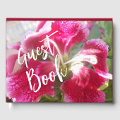 Lodovica Gästebuch (Vorderseite)