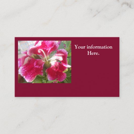 Lodovica Visitenkarte (Vorderseite)