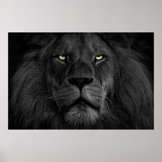 L'oeil du lion poster (Vorne)