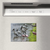 Löffel in freier Wildbahn Magnet (In Situ (Geschirrspüler))
