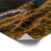 Lofoten Inseln Norwegen Poster (Ecke)