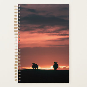 Lofoten Islands Sheep Planer