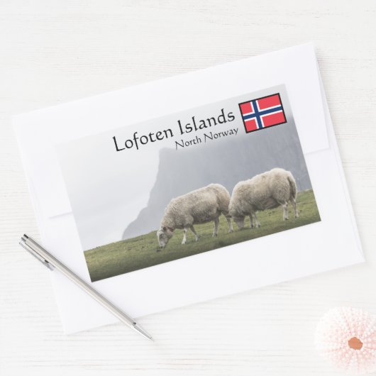 Lofoten Islands Sheep Rechteckiger Aufkleber (Umschlag)