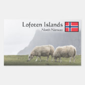 Lofoten Islands Sheep Rechteckiger Aufkleber (Vorderseite)