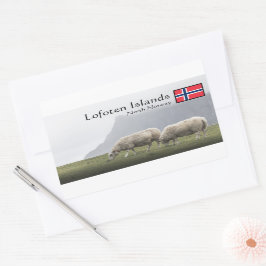 Lofoten Islands Sheep Rechteckiger Aufkleber