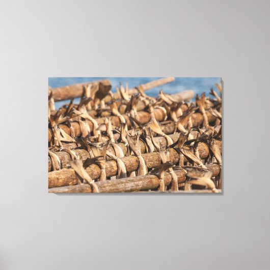 Lofoten Islands Stockfish Leinwanddruck (Vorderseite)