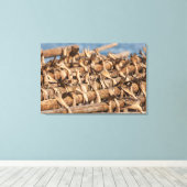 Lofoten Islands Stockfish Leinwanddruck (Insitu (Holzboden))