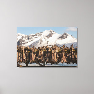 Lofoten Leinwanddruck