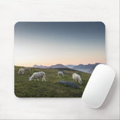 Lofoten Sheep Landscape Foto Mousepad (Mit Mouse)