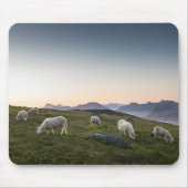 Lofoten Sheep Landscape Foto Mousepad (Vorne)
