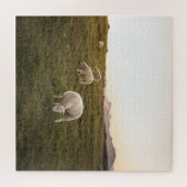 Lofoten Sheep Nature Foto Puzzle (Horizontal)
