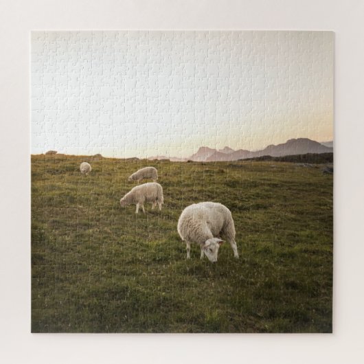 Lofoten Sheep Nature Foto Puzzle (Vertikal)