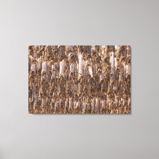 Lofoten Stockfish Leinwanddruck (Vorderseite)