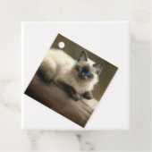 Log Lounger Siamese Kitten Geschenketiketts Geschenkanhänger (Beispiel)