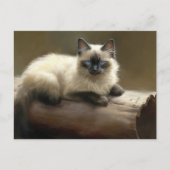 Log Lounger Siamese Kitten Postkarte (Vorderseite)