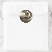 Log Lounger Siamese Kitten Runder Aufkleber (Tasche)