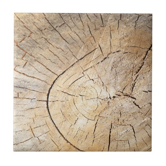 Log Pattern Fliese (Vorderseite)