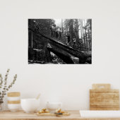 LOG RIGGING in der REDWOODS c. 1890 Poster (Küche)