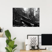 LOG RIGGING in der REDWOODS c. 1890 Poster (Heimbüro)