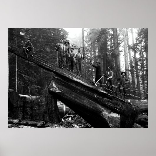 LOG RIGGING in der REDWOODS c. 1890 Poster (Vorne)