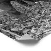 Log Sawing Contest, 1924. Vintages Foto Poster (Ecke)