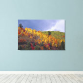 Logan Canyon in Utah im Herbst mit Vorbei Leinwanddruck (Insitu (Holzboden))